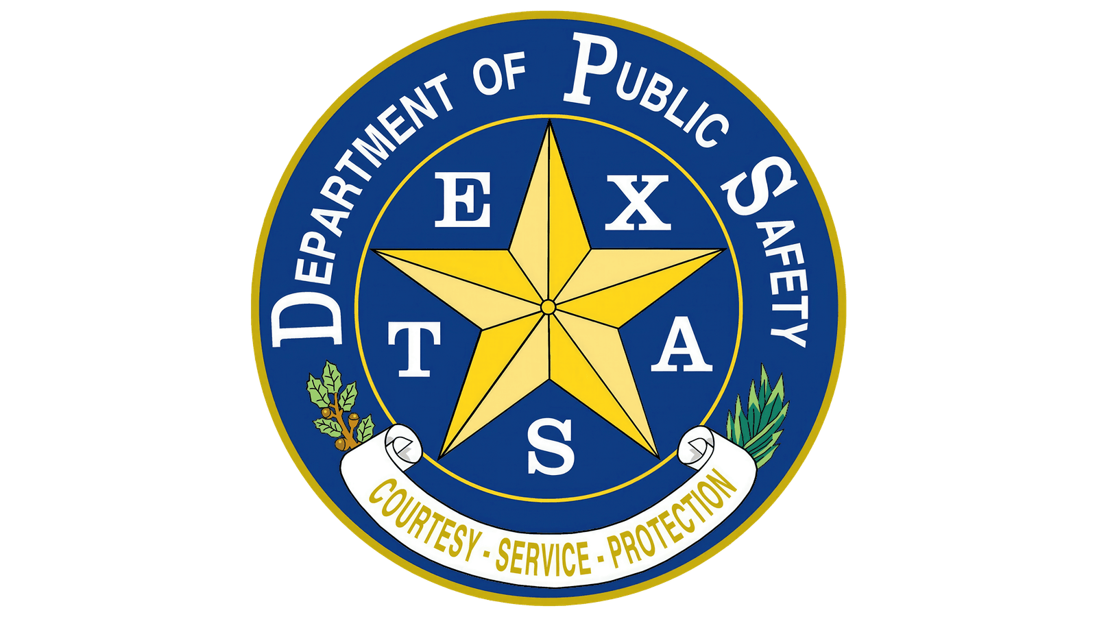 Texas Department of Public Safety licensed security company